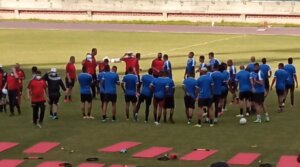 Vinotinto