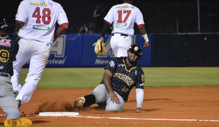 leones tigres