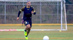 Francisco Flores